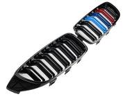 BMW 1 Series F20 grill Tri Color
